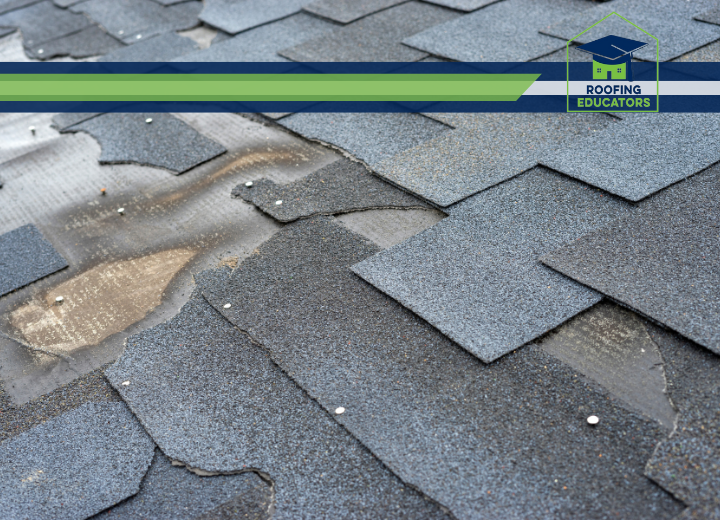 How Roof Inspections Can Prevent Water Damage and Mold Growth in Your Home?